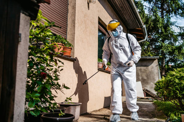 Best Wildlife Control Services  in Mililani Mauka, HI