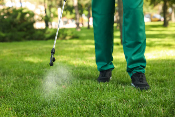 Best Residential Pest Control  in Mililani Mauka, HI